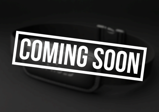 Endure Running Belt